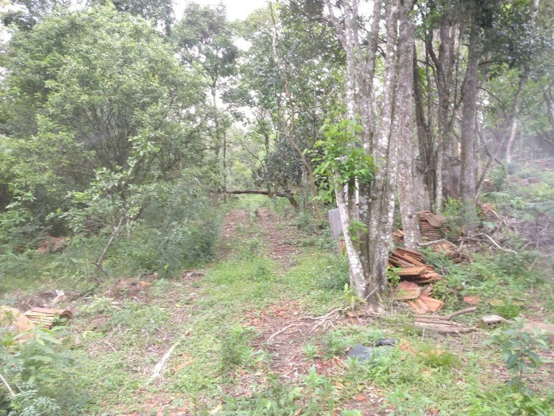 Área para Venda - 11,39ha, bairro Belém Velho — foto 13