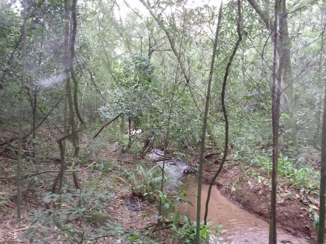 Área para Venda - 11,39ha, bairro Belém Velho — foto 17