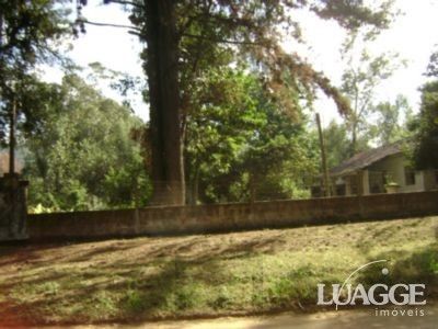 Sítio para Venda com 5000m² e 3 dormitórios no bairro Lami — foto 2