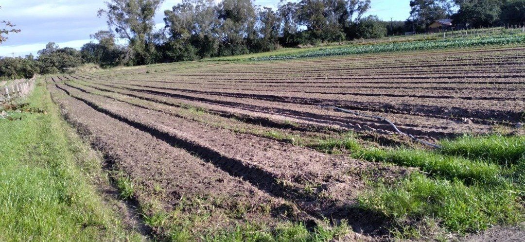 Área com 4,695 Hectares à venda no Lami - Belém Novo — foto 1