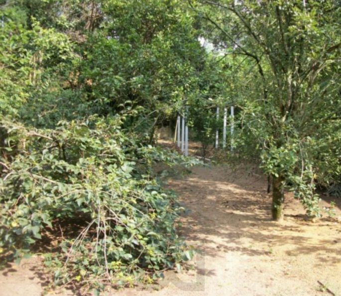 Sobrado para Venda - 800m², 3 dormitórios, Belém Novo — foto 8