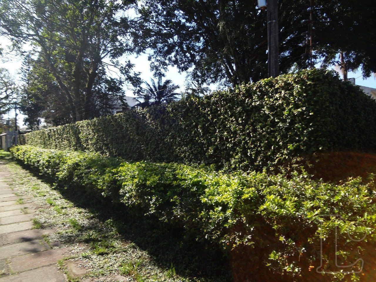 Casa para Venda - 224m², 3 dormitórios, sendo 1 suites, Ipanema — foto 4