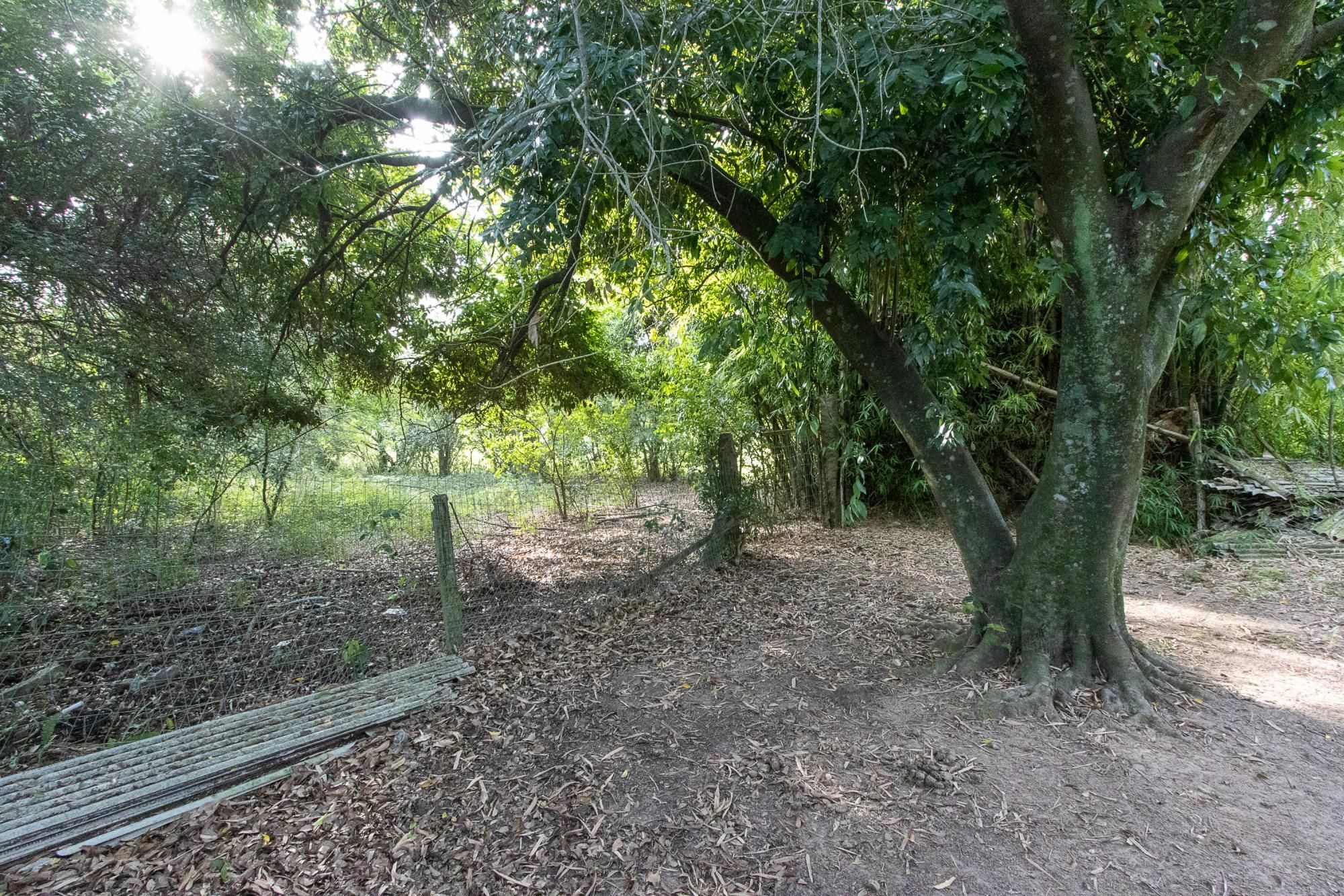 Área medindo 33.426m²! — foto 4