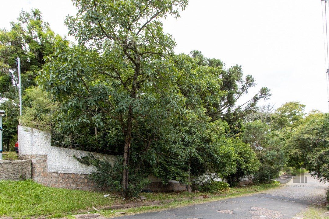Terreno, 363.78 m², em Vila Conceição, em região elevada e livre de inundações — foto 1