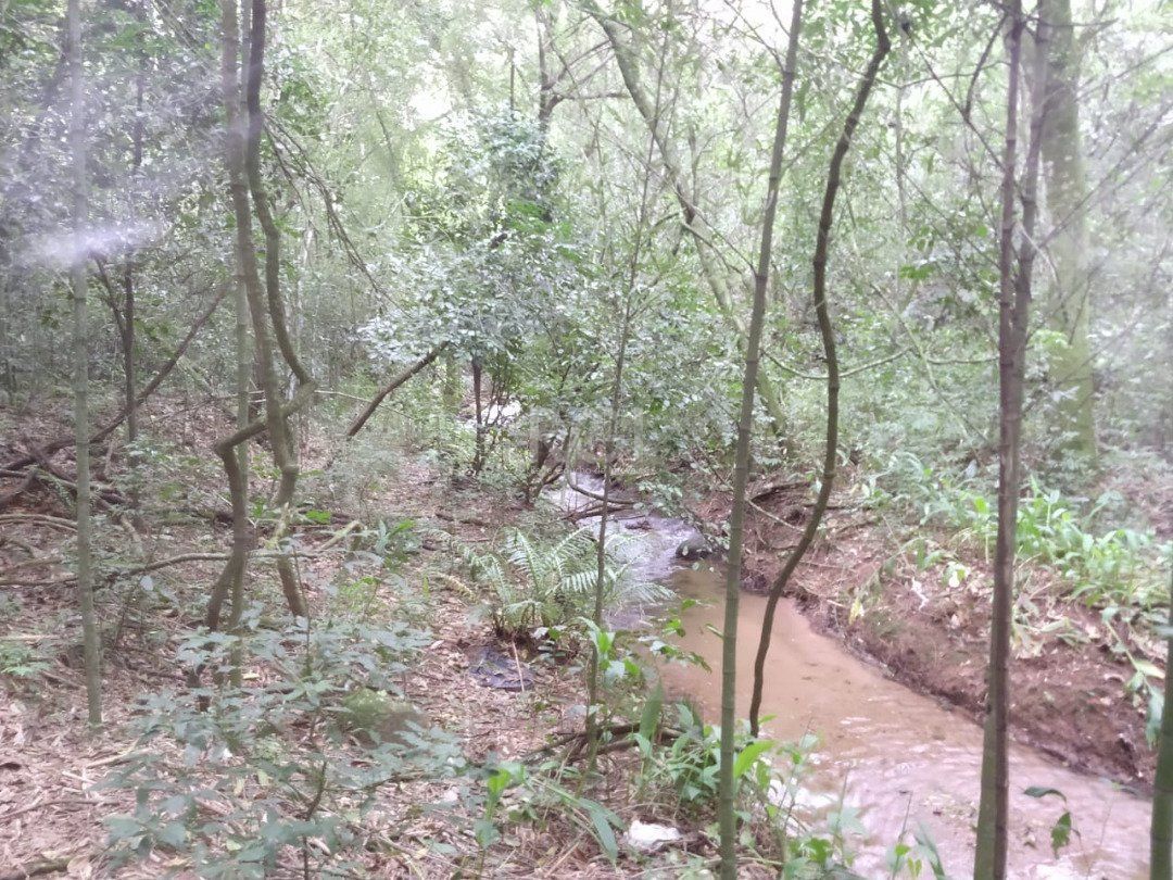 Área para Venda - 11,39ha, bairro Belém Velho — foto 20