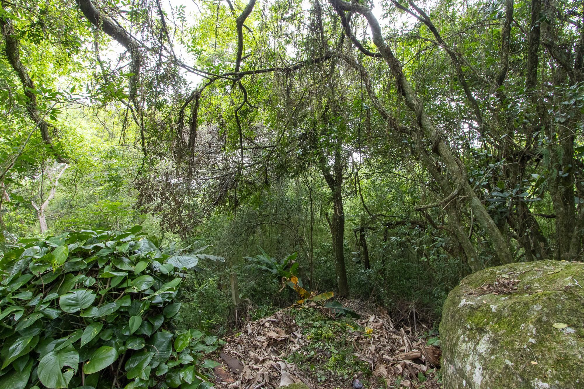 Casa térrea, nova, 3 quartos, 1 suite - Bairro Belém Velho — foto 46