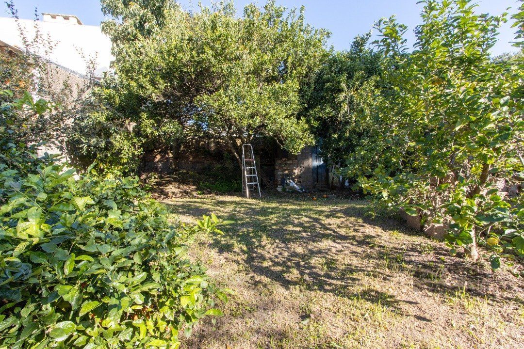Casa para Venda - 300m², 3 dormitórios, sendo 1 suites, 4 vagas - Tristeza — foto 30