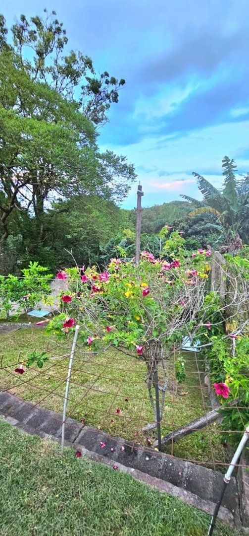 — foto 11