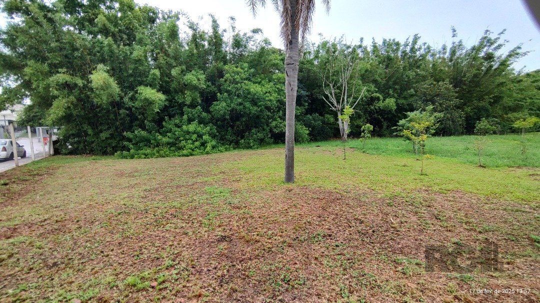 Casa em Condomínio à venda, bairro Campo Novo, 3 quartos (1 suite), 3 banheiros, 1 vaga — foto 19