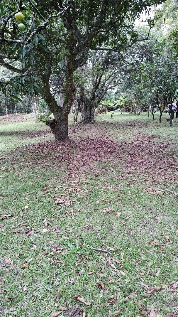 Sitio à venda no Lami, com 2 casas térreas, com 4 quartos cada uma — foto 51