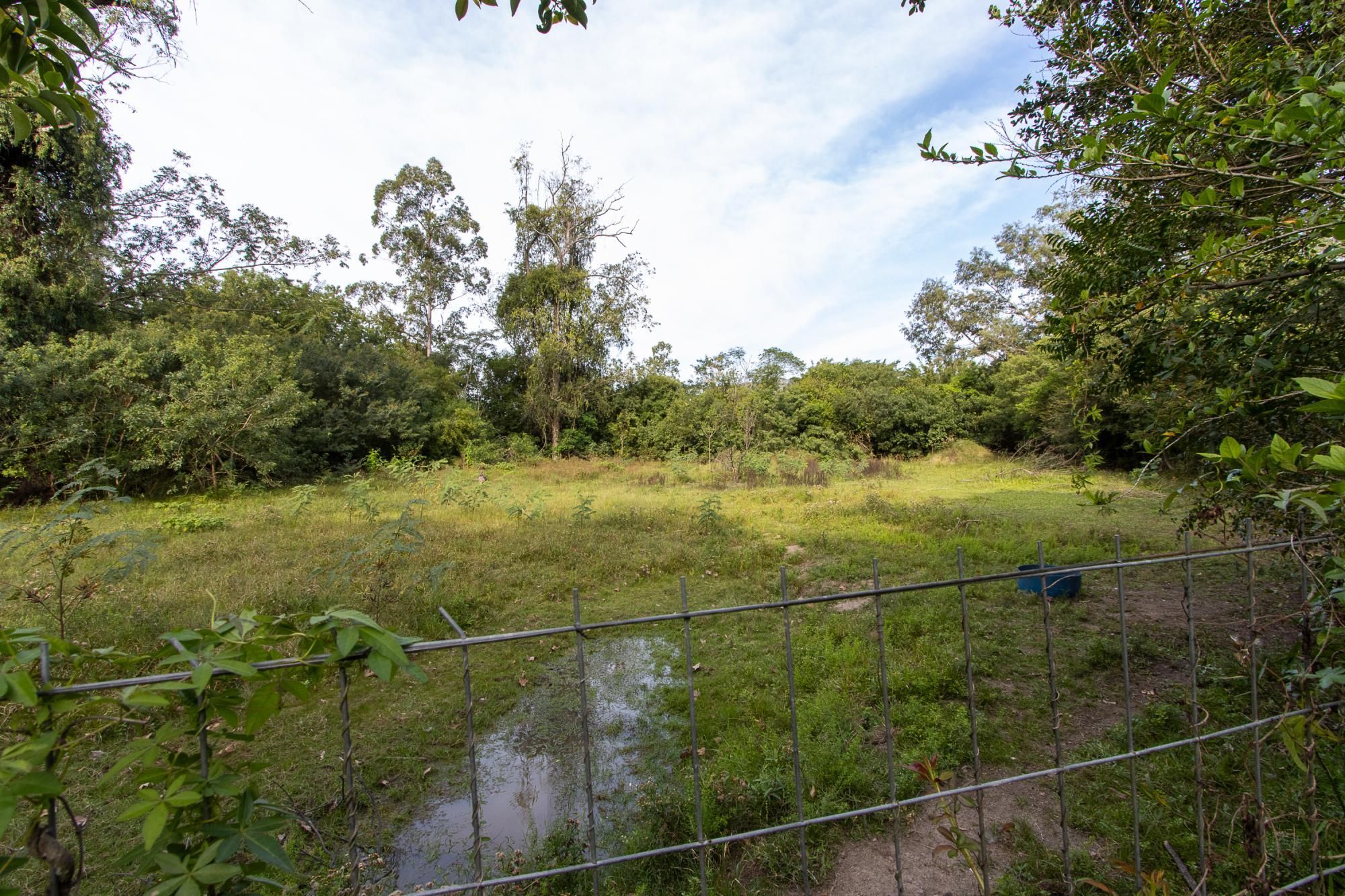Área medindo 33.426m²! — foto 46