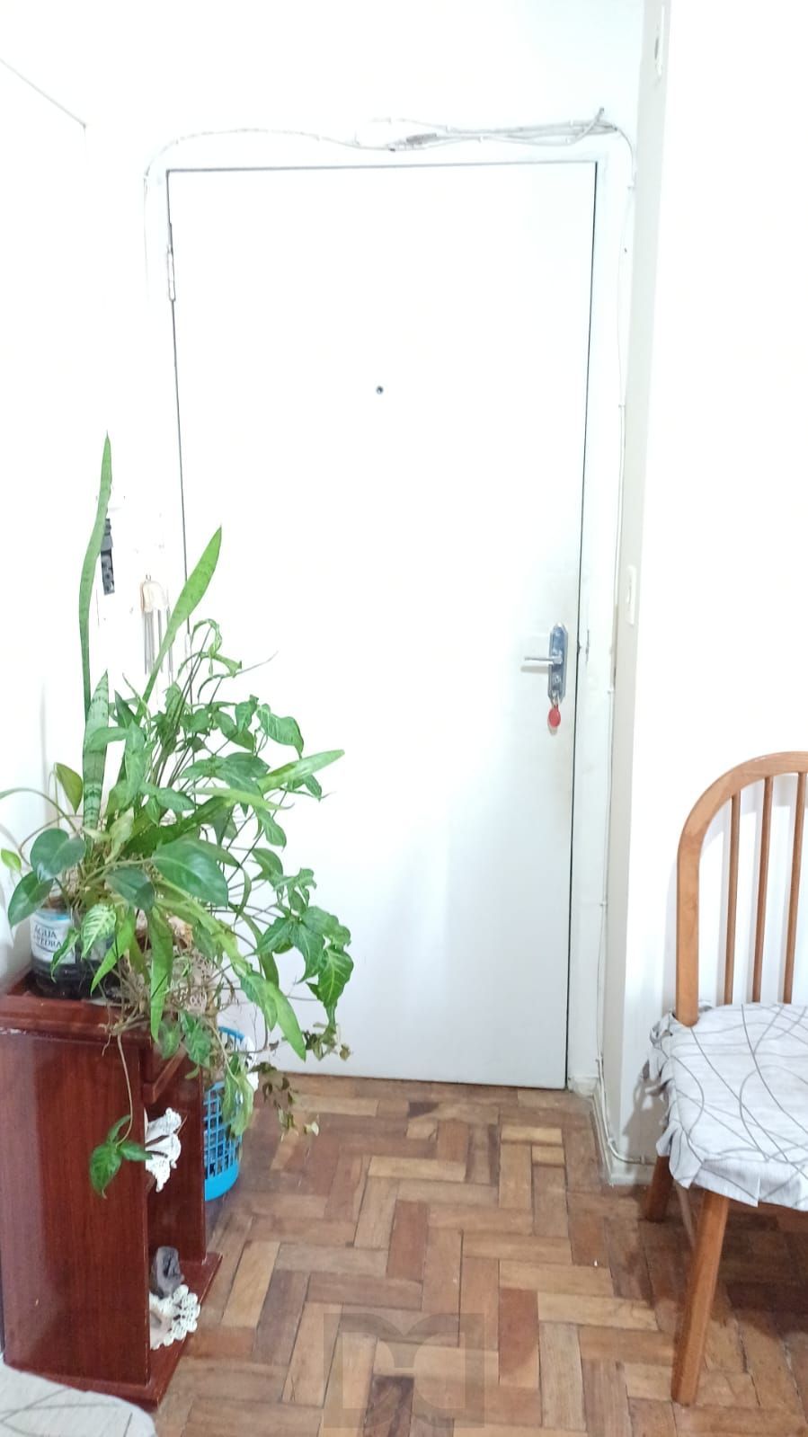 — foto 29