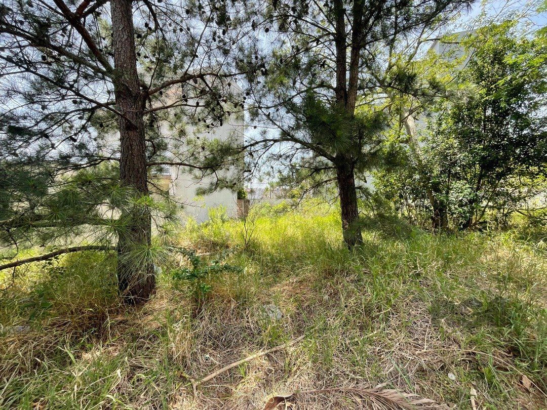 Terreno à venda no bairro Guarujá, com área total de 233,76m² — foto 11