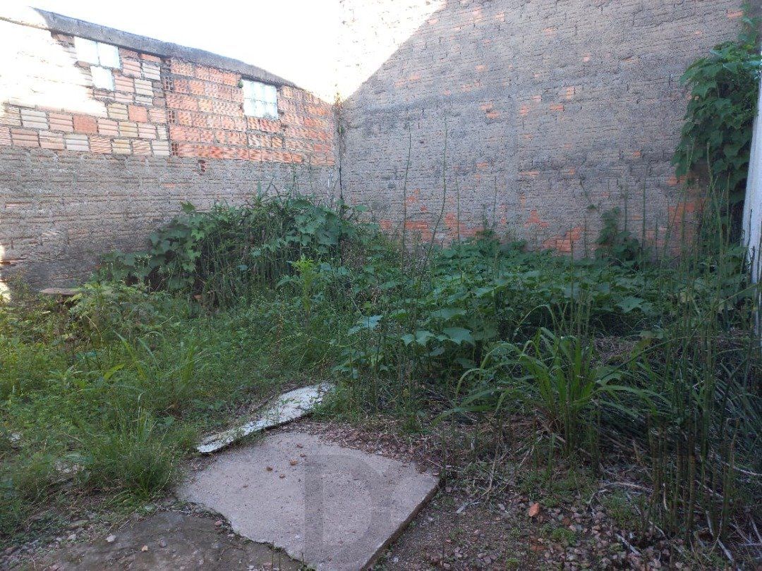 — foto 3