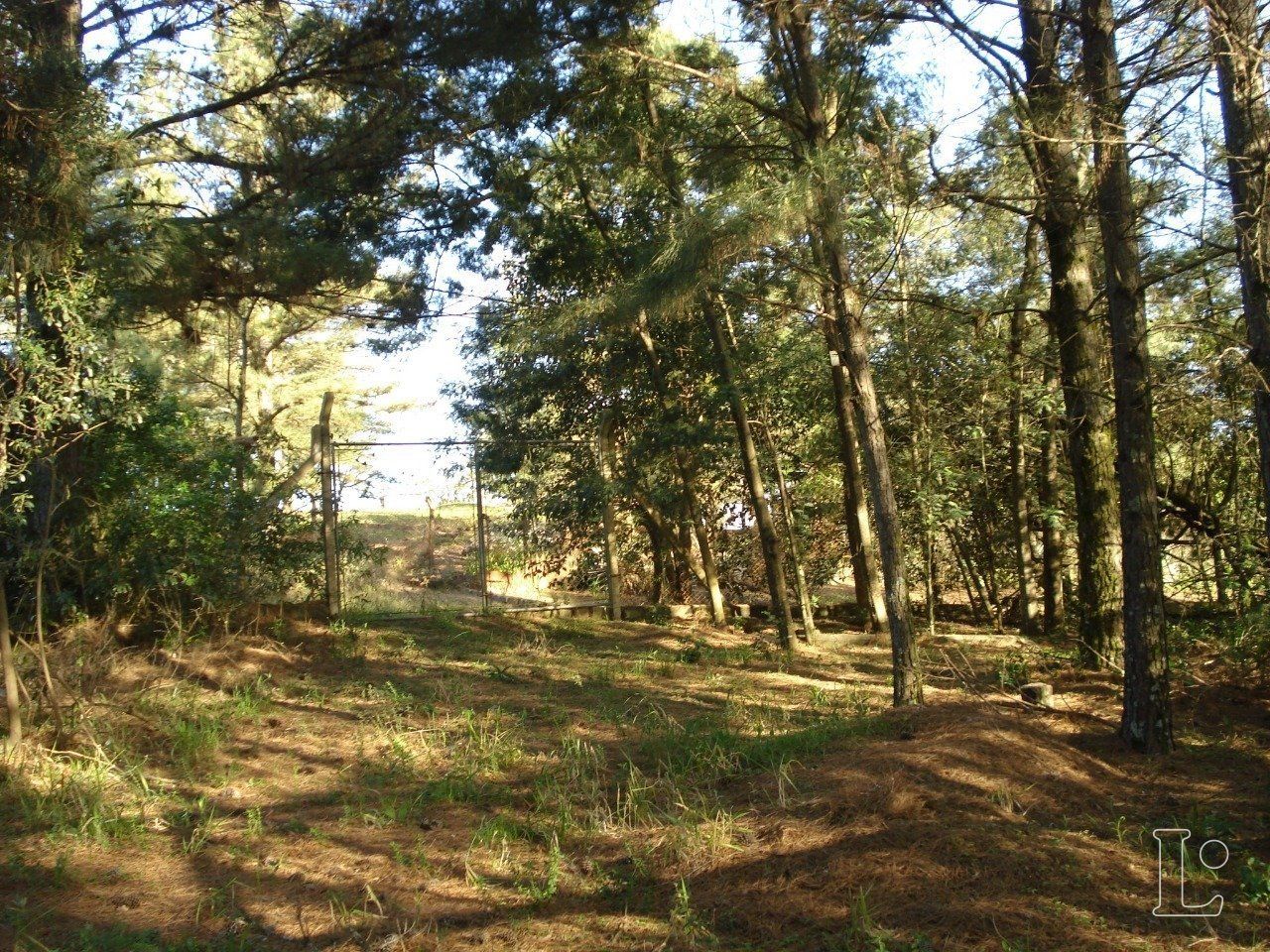 Terreno para Venda - 0m², 0 dormitórios, Vila Nova — foto 2