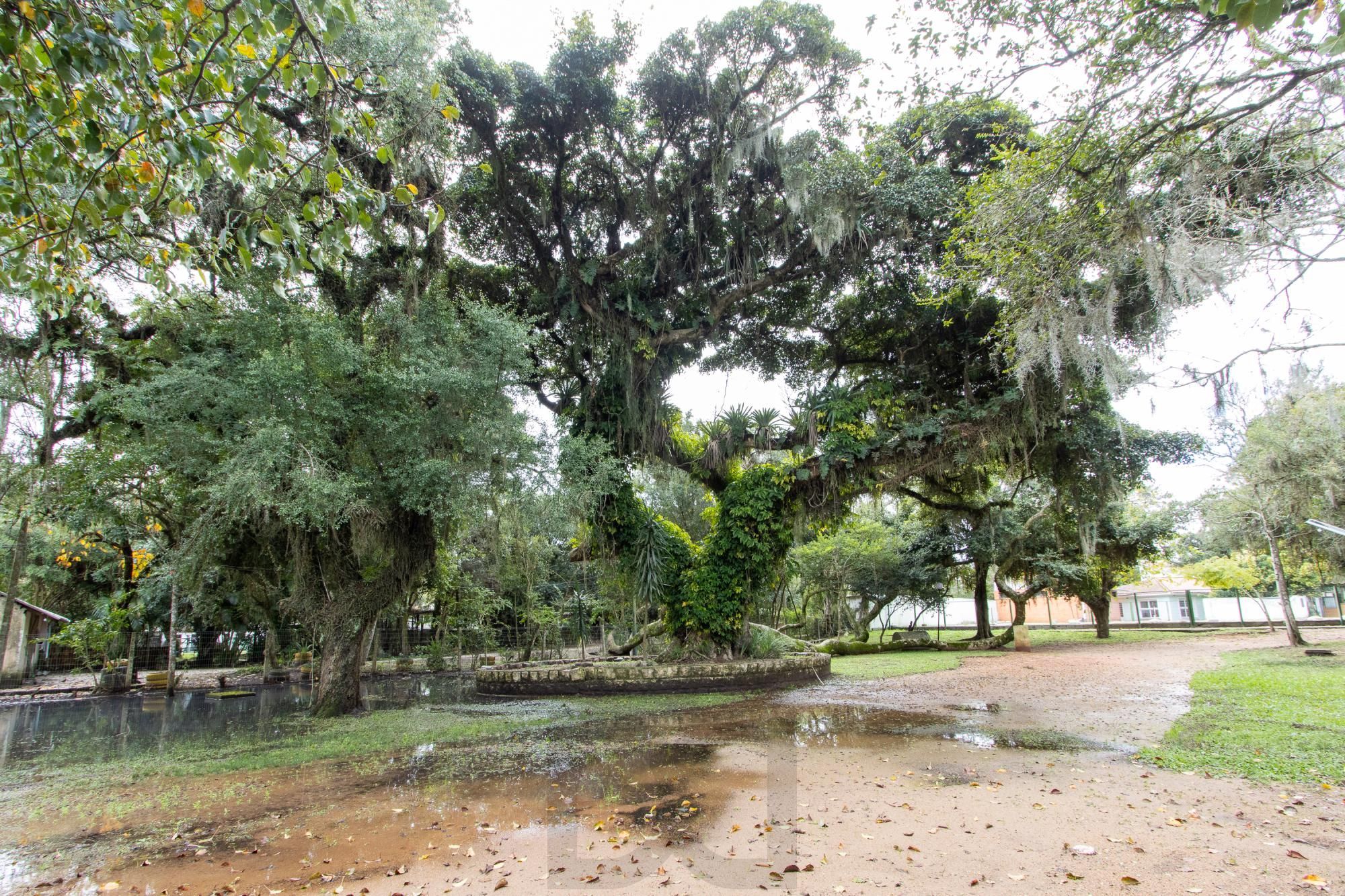 Terreno com edificações para múltiplos negócios lucrativos. — foto 71