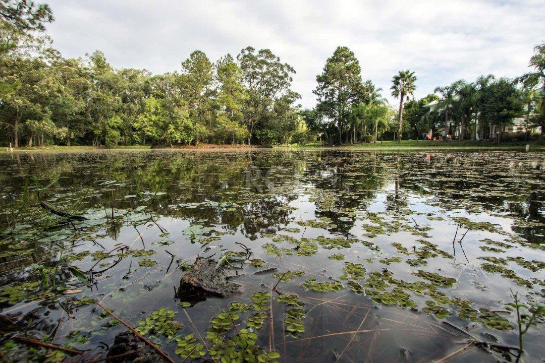 Terreno plano de 1000m² está localizado no conceituado condomínio Terra Ville — foto 13