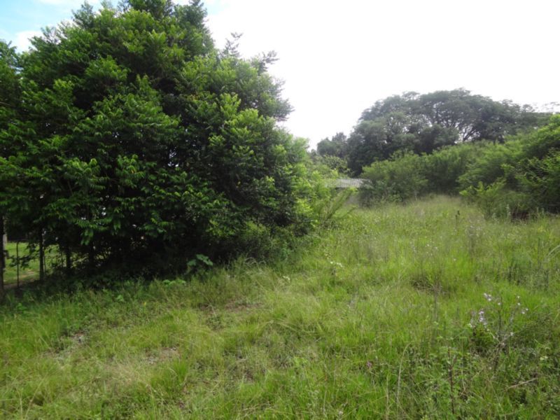 Terreno para Venda - 0m², 0 dormitórios, Lami — foto 6