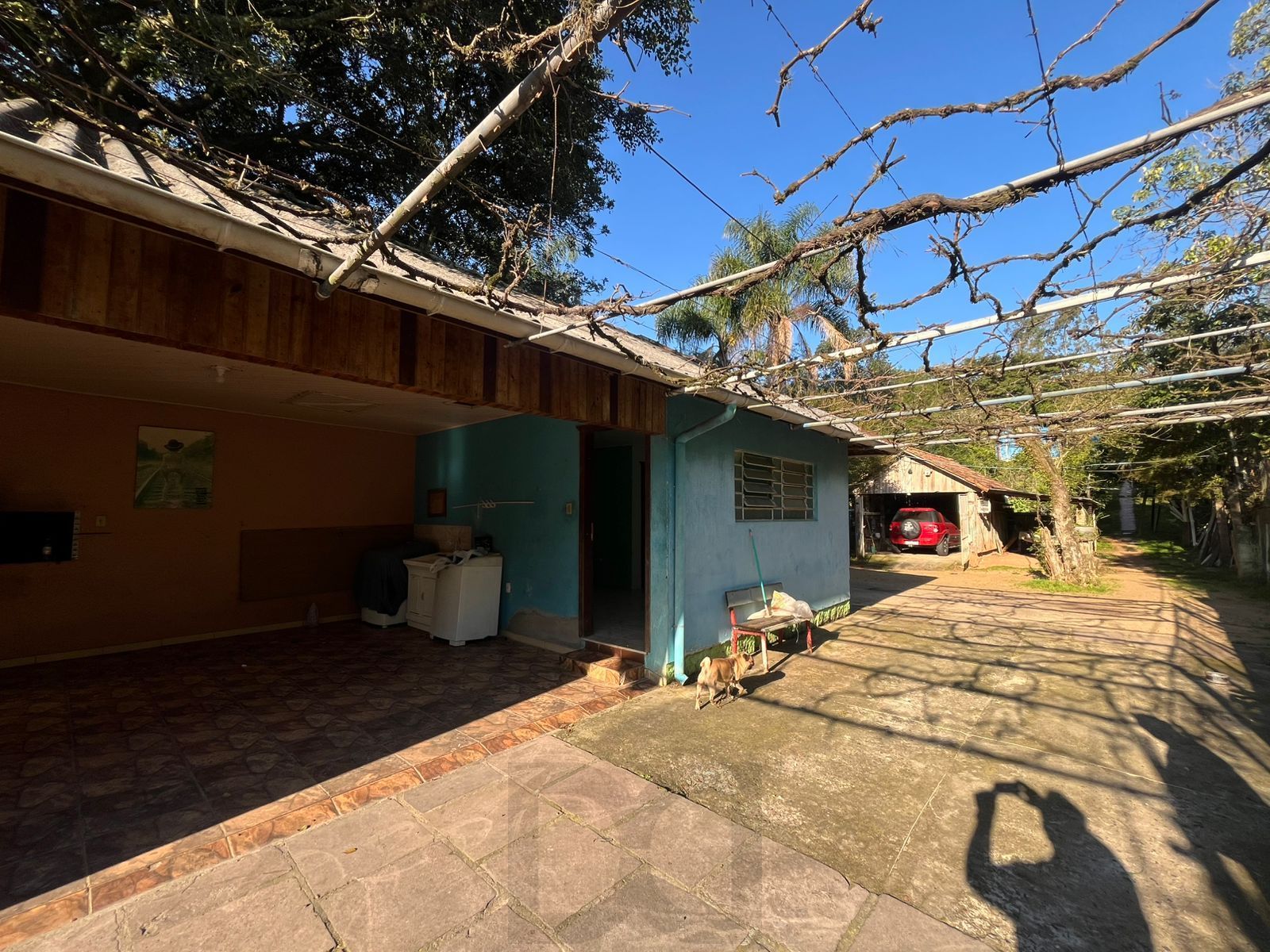 Terreno Amplo com 3 Casas – Vila Nova, Porto Alegre — foto 4
