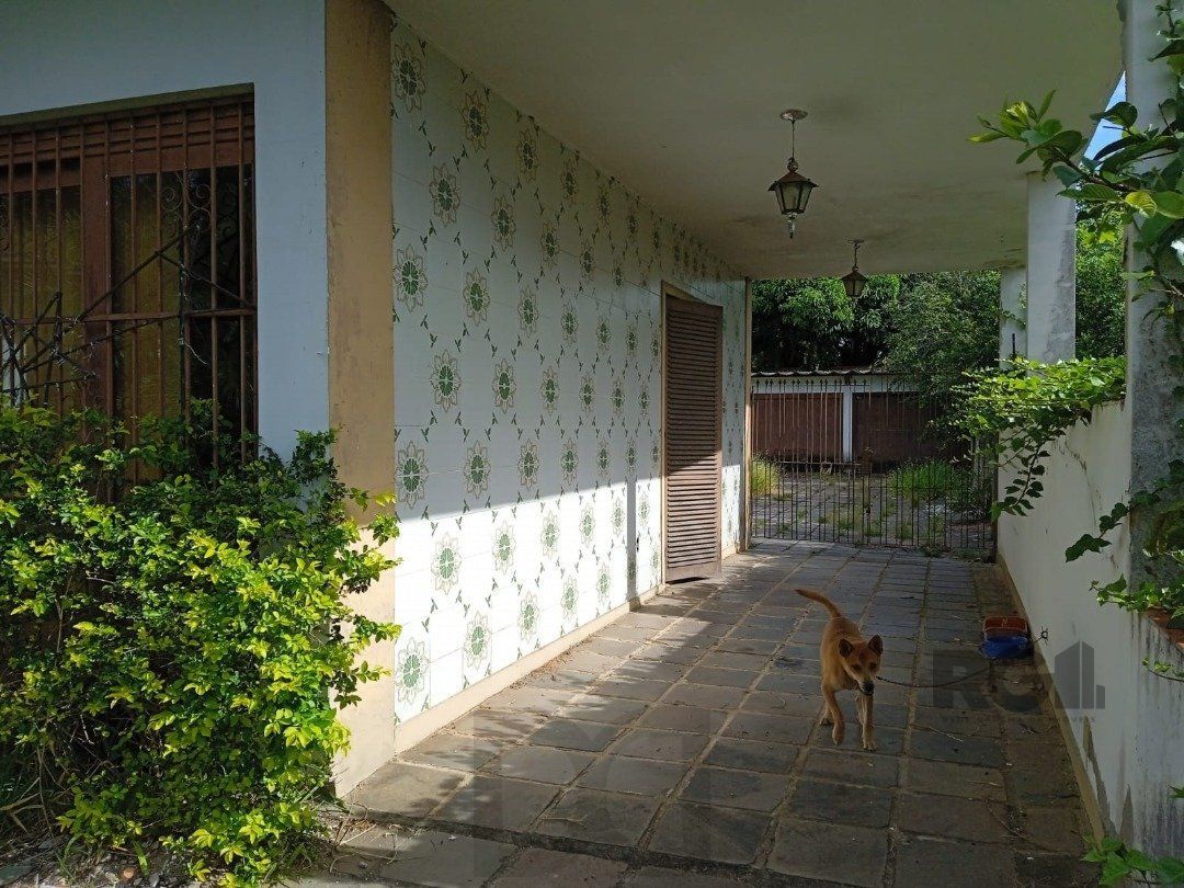 — foto 13