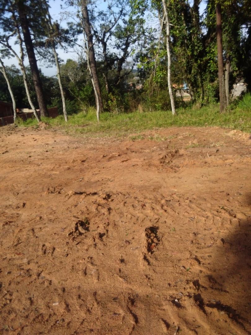 Terreno para Venda - 0m², 0 dormitórios, Belém Novo — foto 9