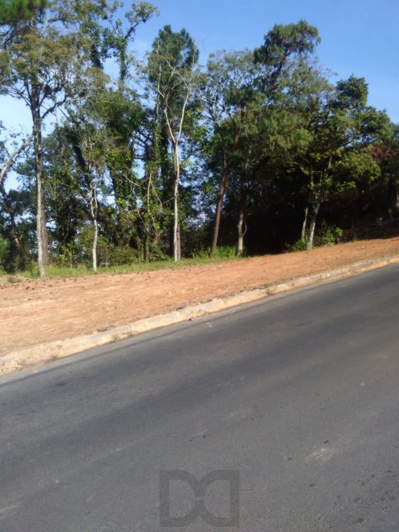 Terreno para Venda - 0m², 0 dormitórios, Belém Novo — foto 15