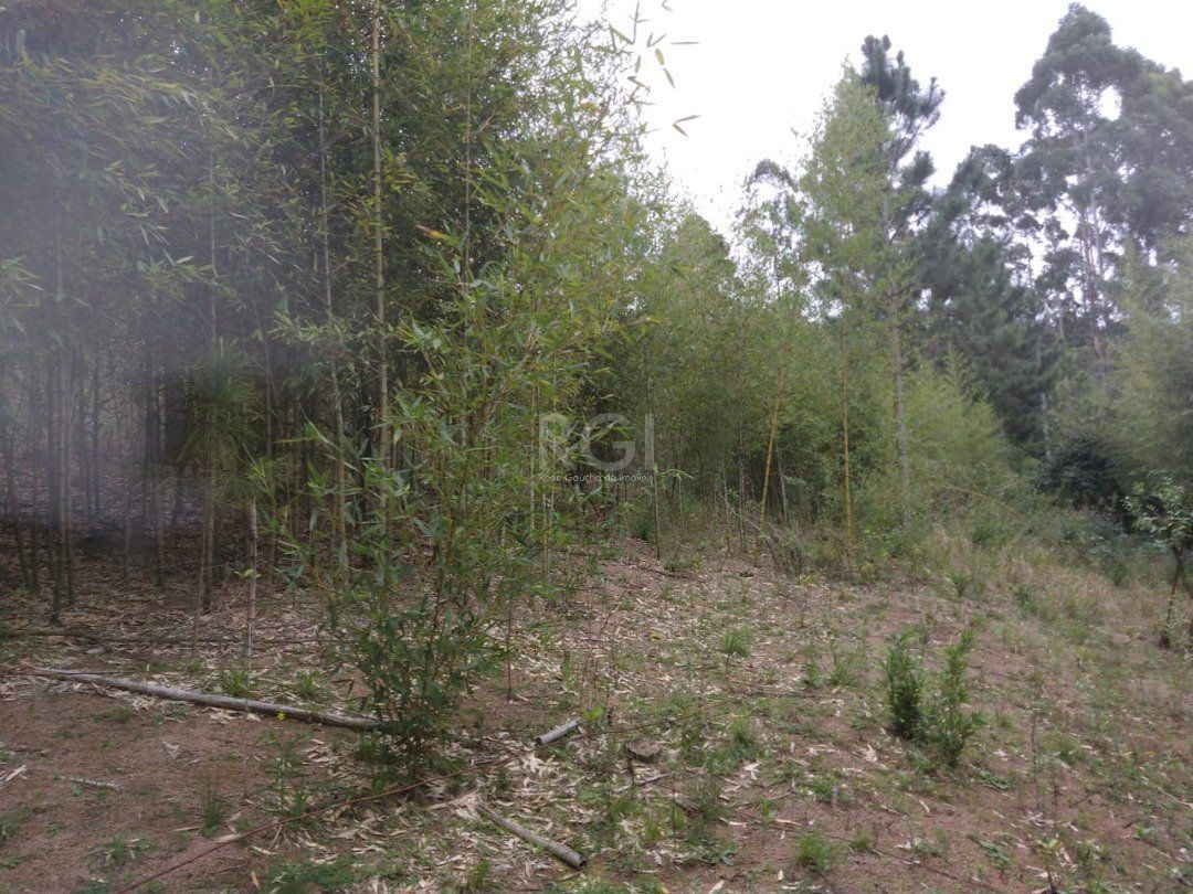 Área para Venda - 11,39ha, bairro Belém Velho — foto 10