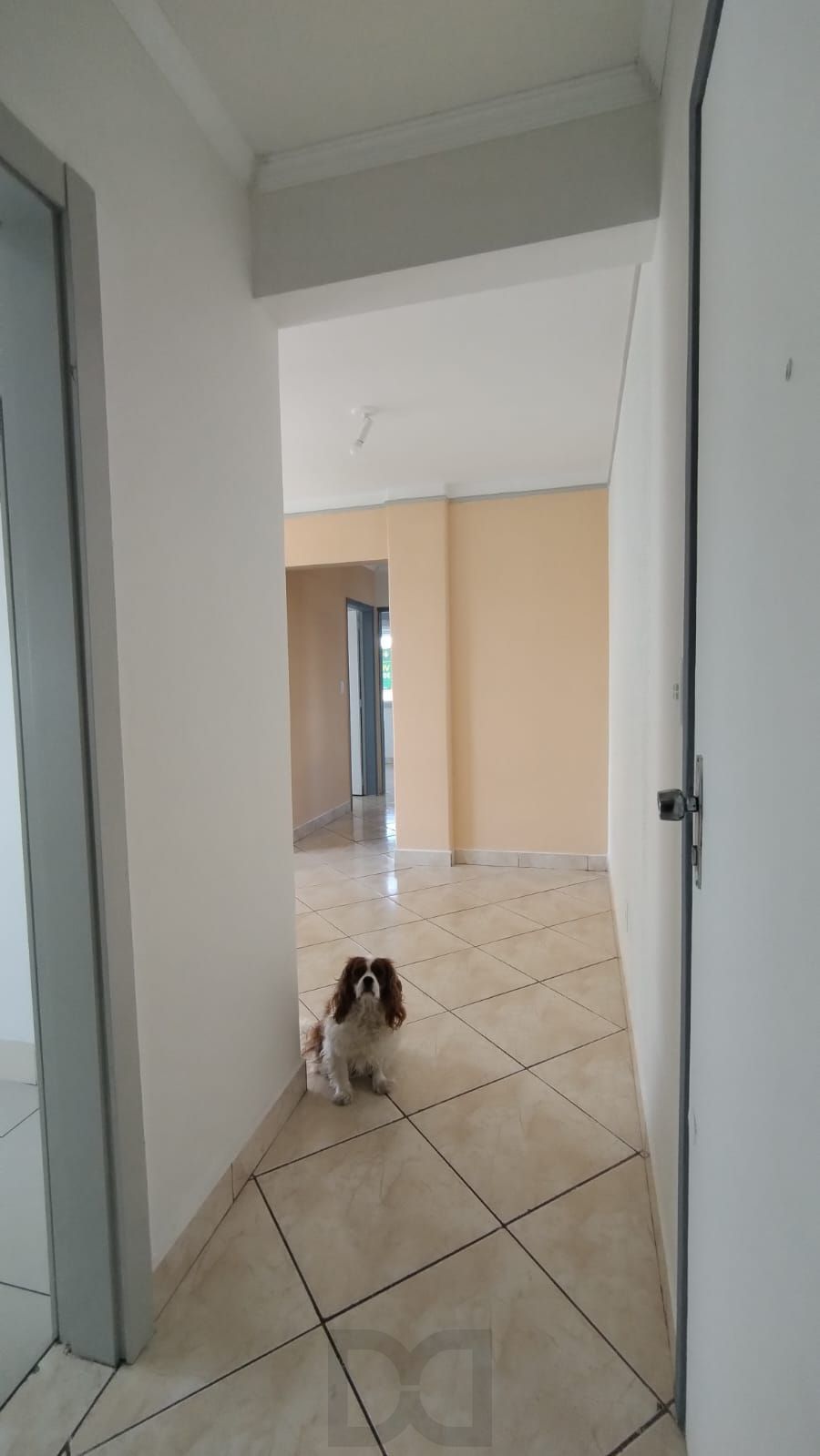 Apartamento com 3 dormitorios e Box escriturado — foto 15