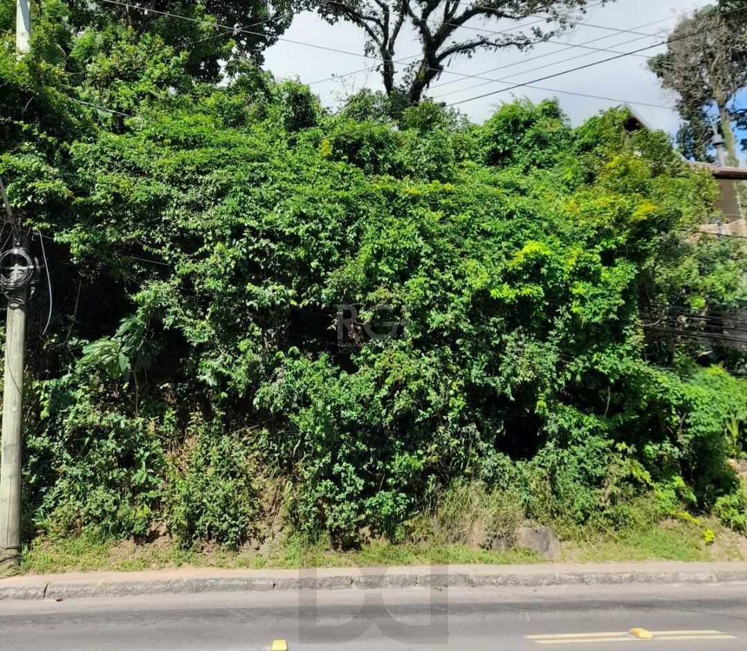 Terreno para Venda - 201m² - Vila Conceição — foto 1