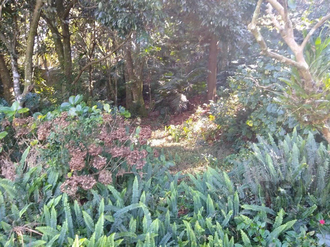 — foto 25