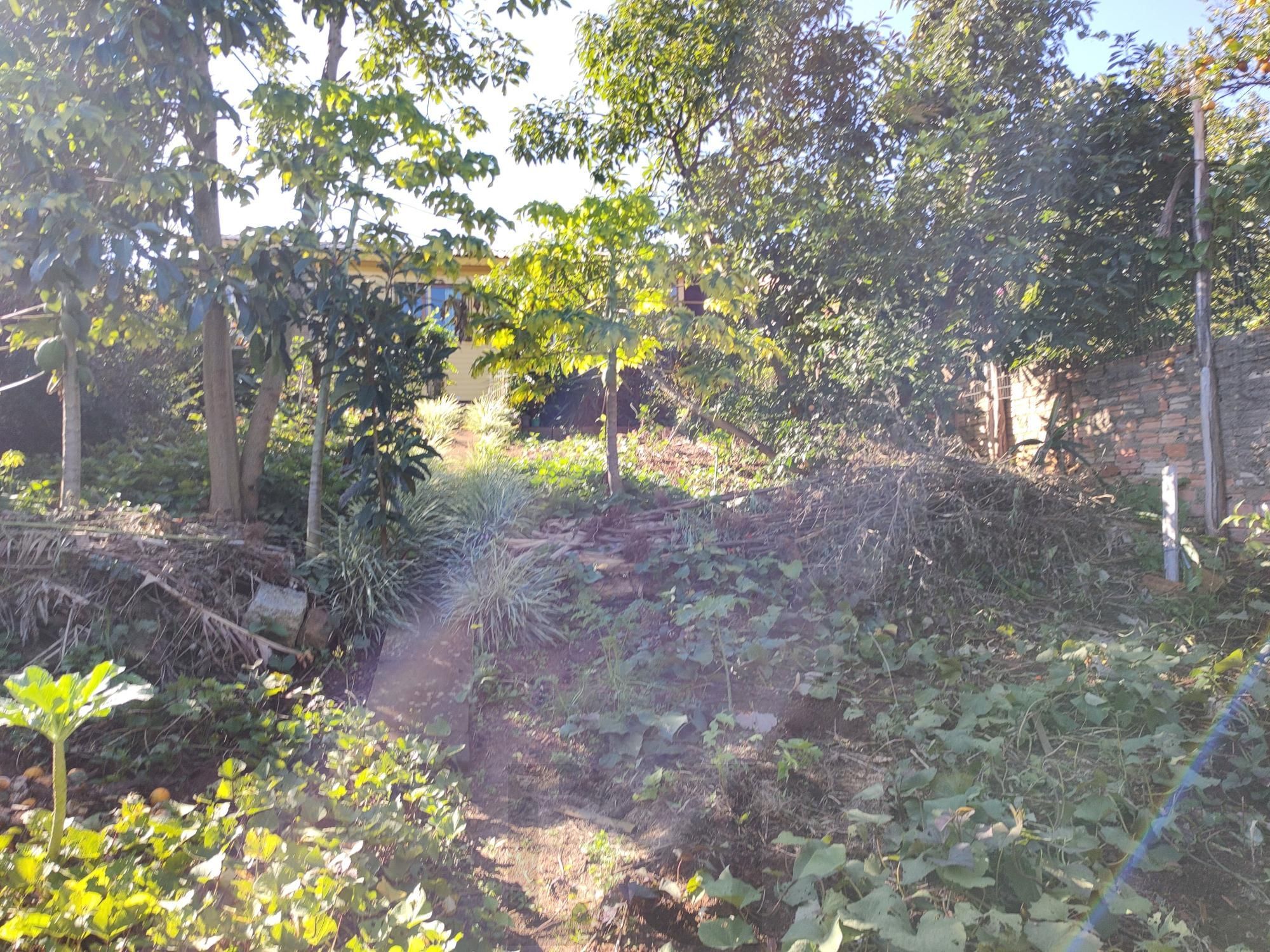 Casa térrea 90m² privativos, 2 quartos 1 vaga coberta - Espírito Santo — foto 11