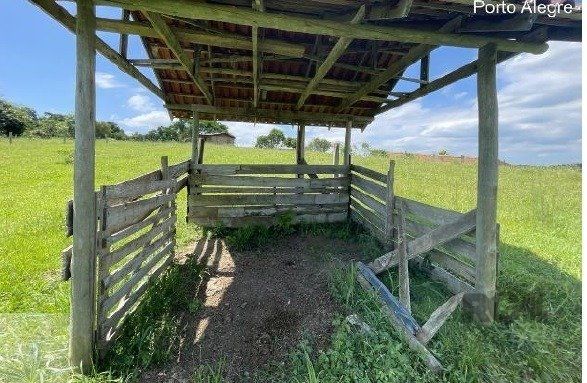 Área 20.000m2 - Bairro Belém Velho — foto 10