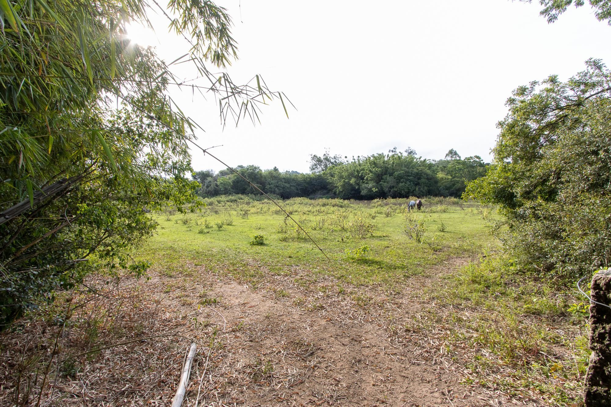 Área medindo 33.426m²! — foto 5