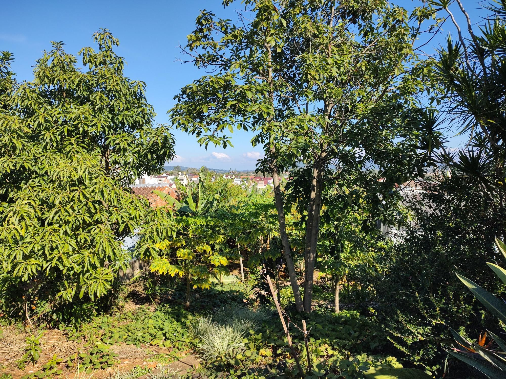 Casa térrea 90m² privativos, 2 quartos 1 vaga coberta - Espírito Santo — foto 9