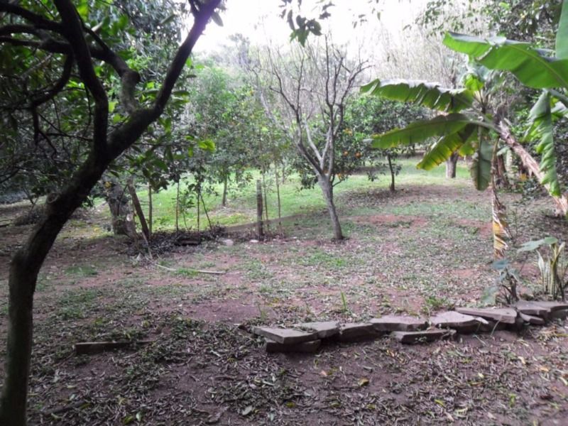 Casa para Venda - 290m², 3 dormitórios, sendo 1 suites, 3 vagas - Nonoai — foto 17