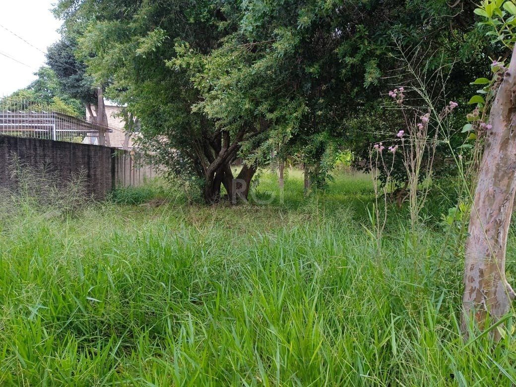 Terreno para Venda - 0m², 0 dormitórios, Tristeza — foto 4