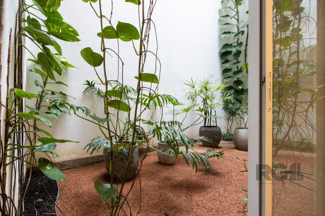 — foto 6