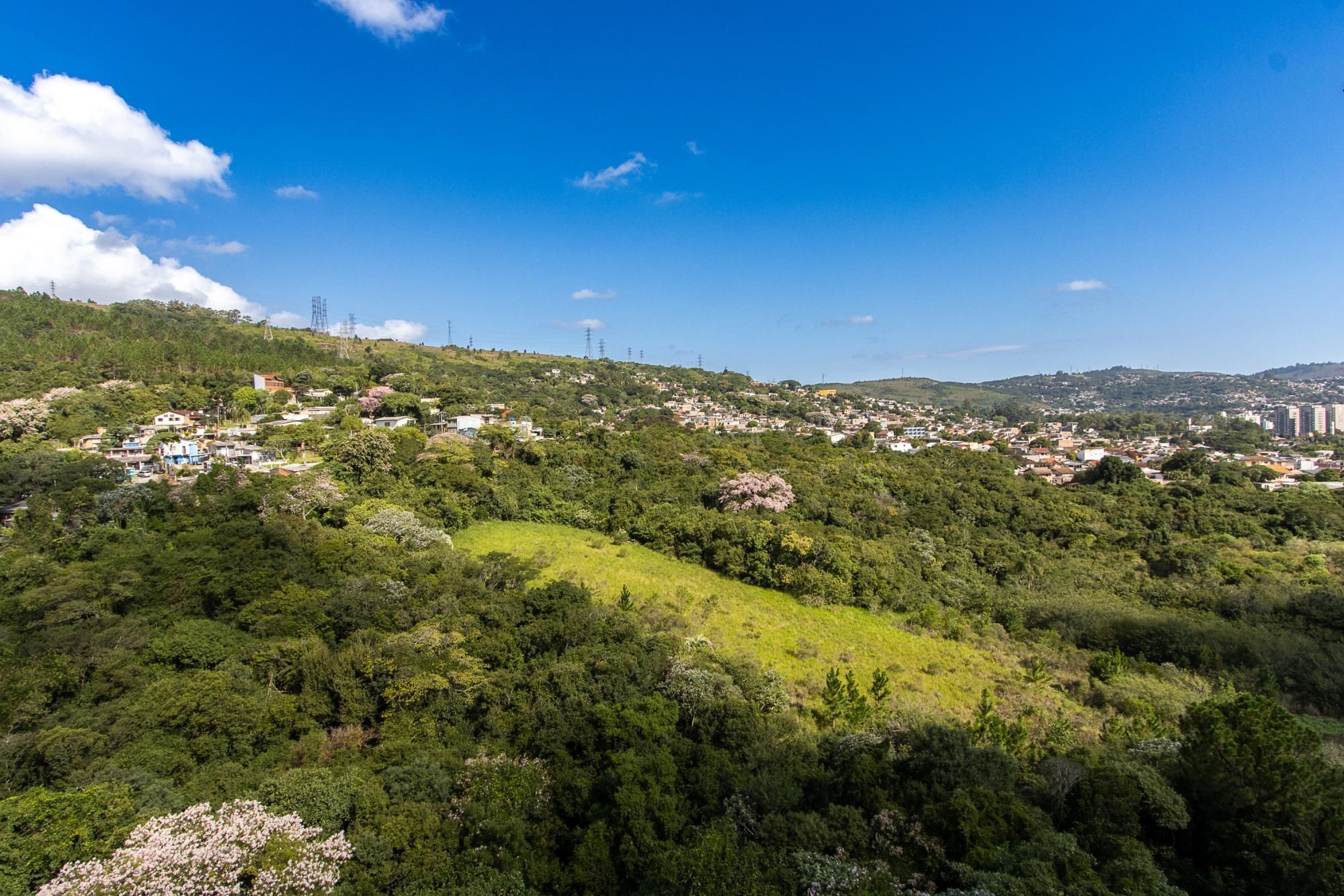 Apartamento 2 dormitórios I Suíte - bairro Jardim Botanico — foto 17