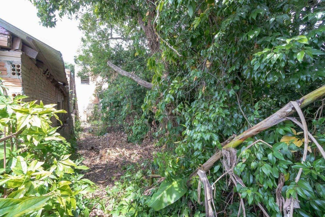 terreno com 605m², 11m de frente e 55m de frente a fundos. — foto 13
