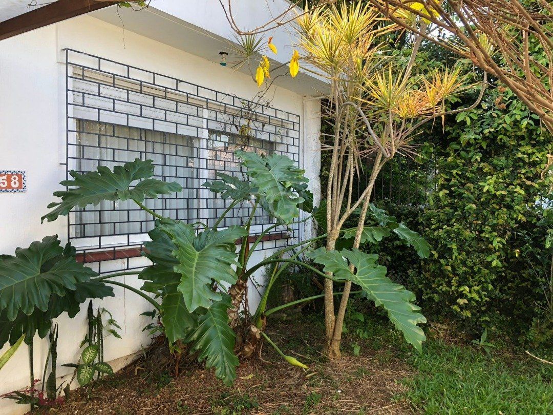Casa para Venda com 3 dormitórios, sendo 1 suites e 3 vagas no bairro Guarujá — foto 33