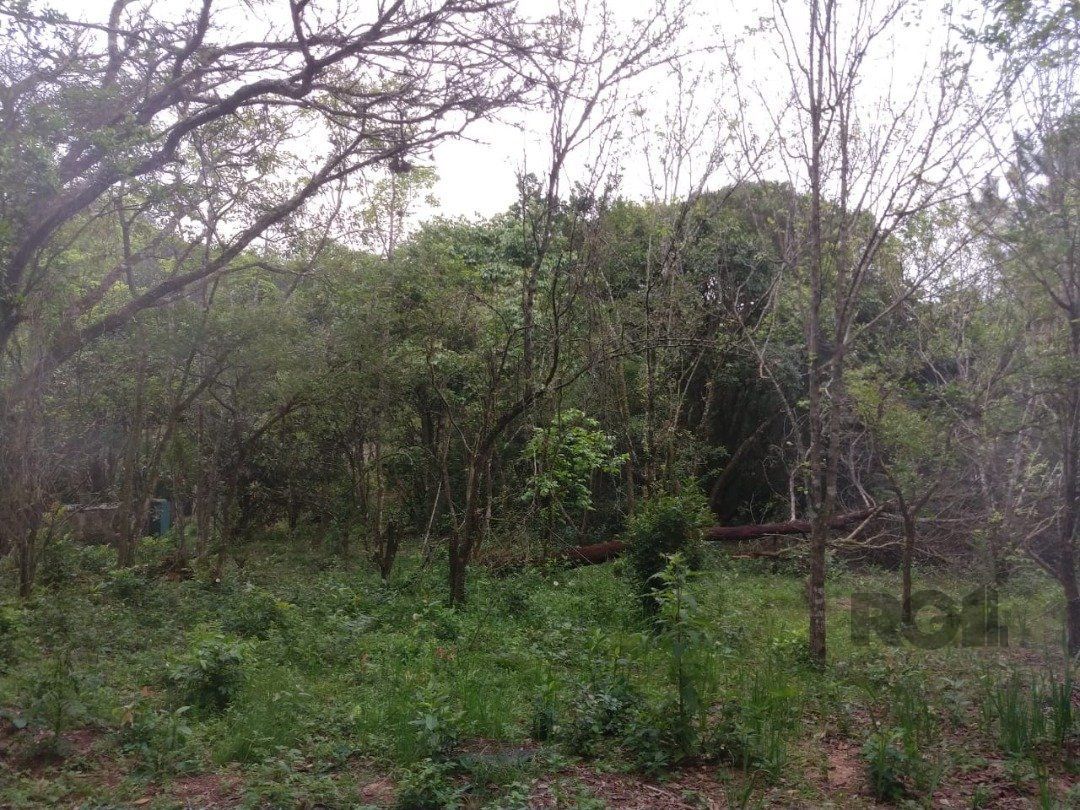 Area 6,69ha | Bairro Belem Velho — foto 5