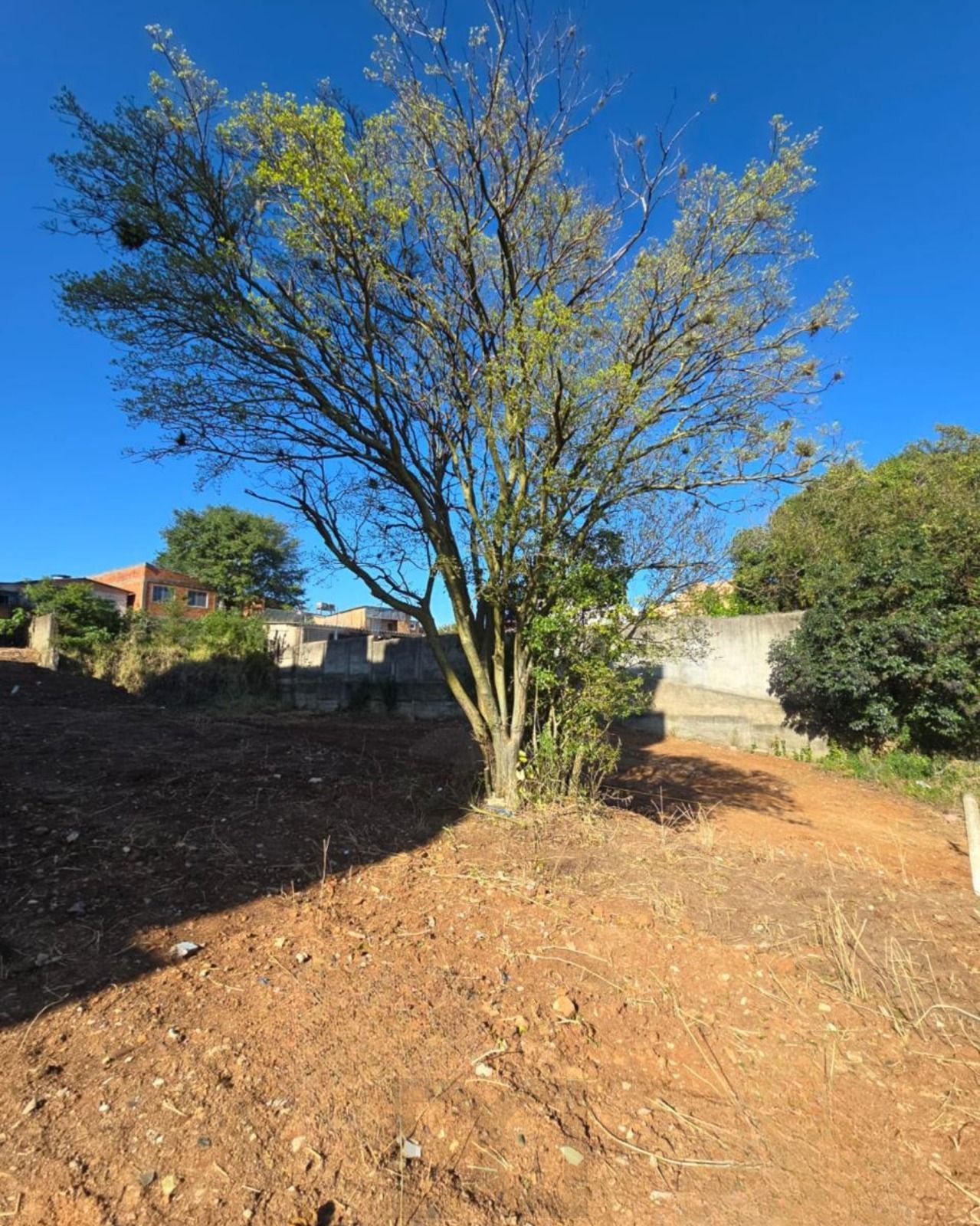 Excelente terreno no bairro Tristeza. — foto 1