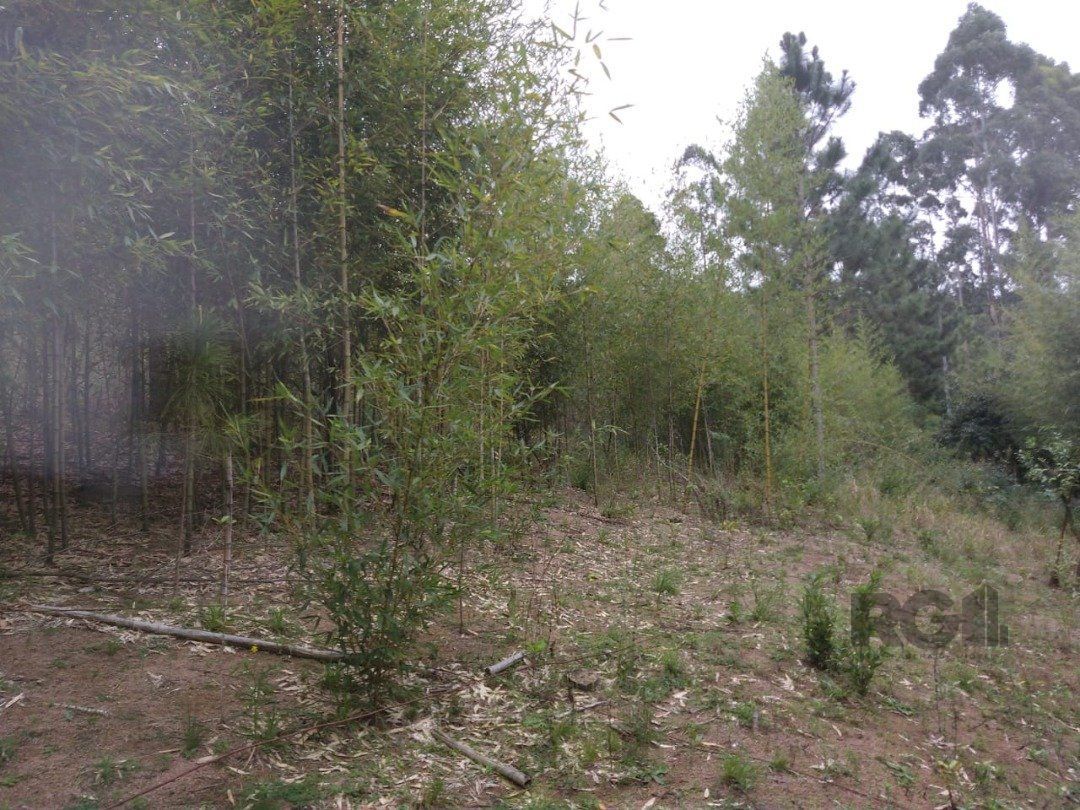 Área 4,69ha | Bairro Belém Velho — foto 8