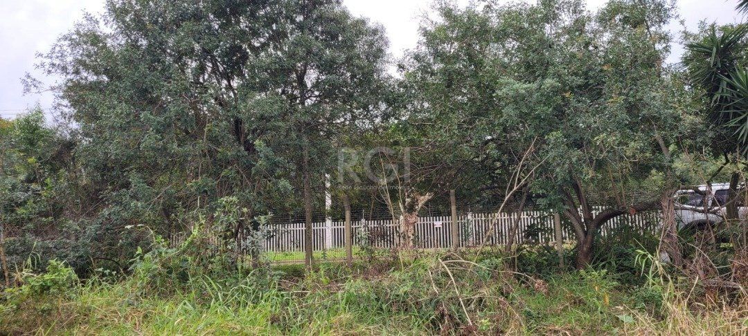 Terreno para Venda - 3.037m² no bairro Campo Novo — foto 2