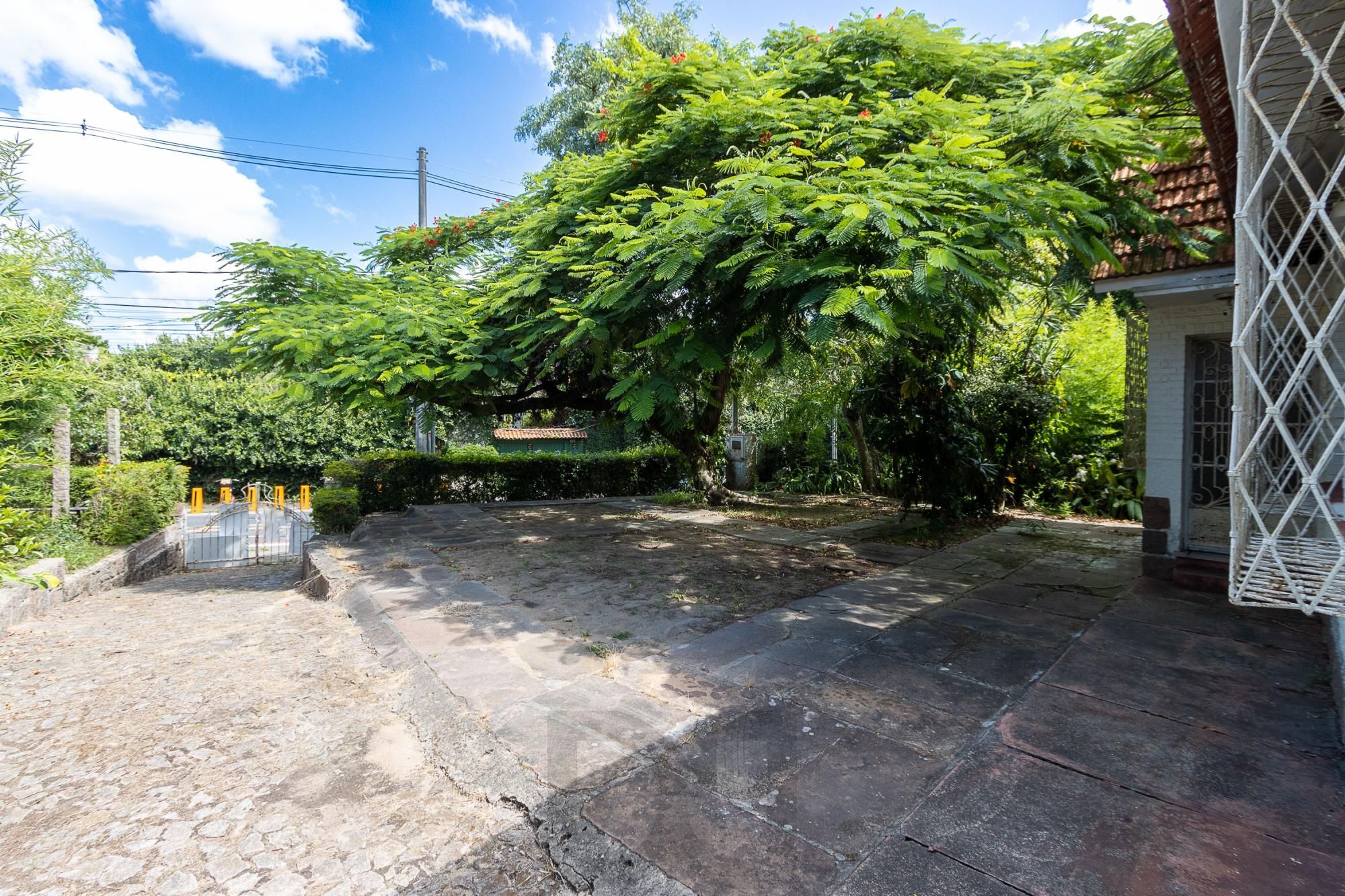Terreno  bairro Ipanema — foto 5