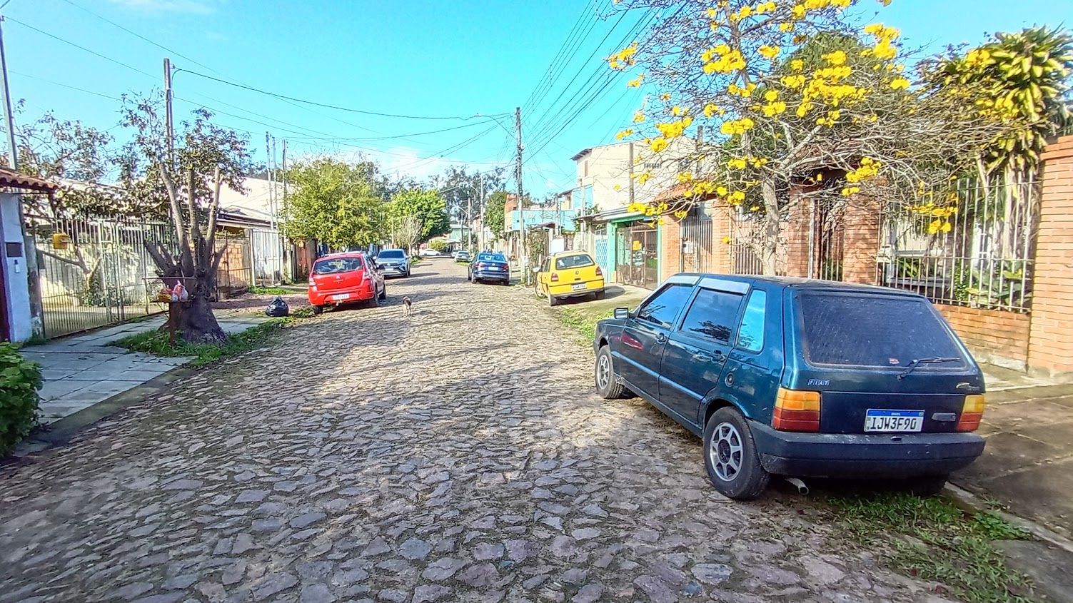 Terreno plano - bairro Hipica — foto 9