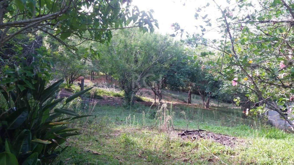 Terreno para Venda - 0m², 0 dormitórios, Boa Vista do Sul — foto 2