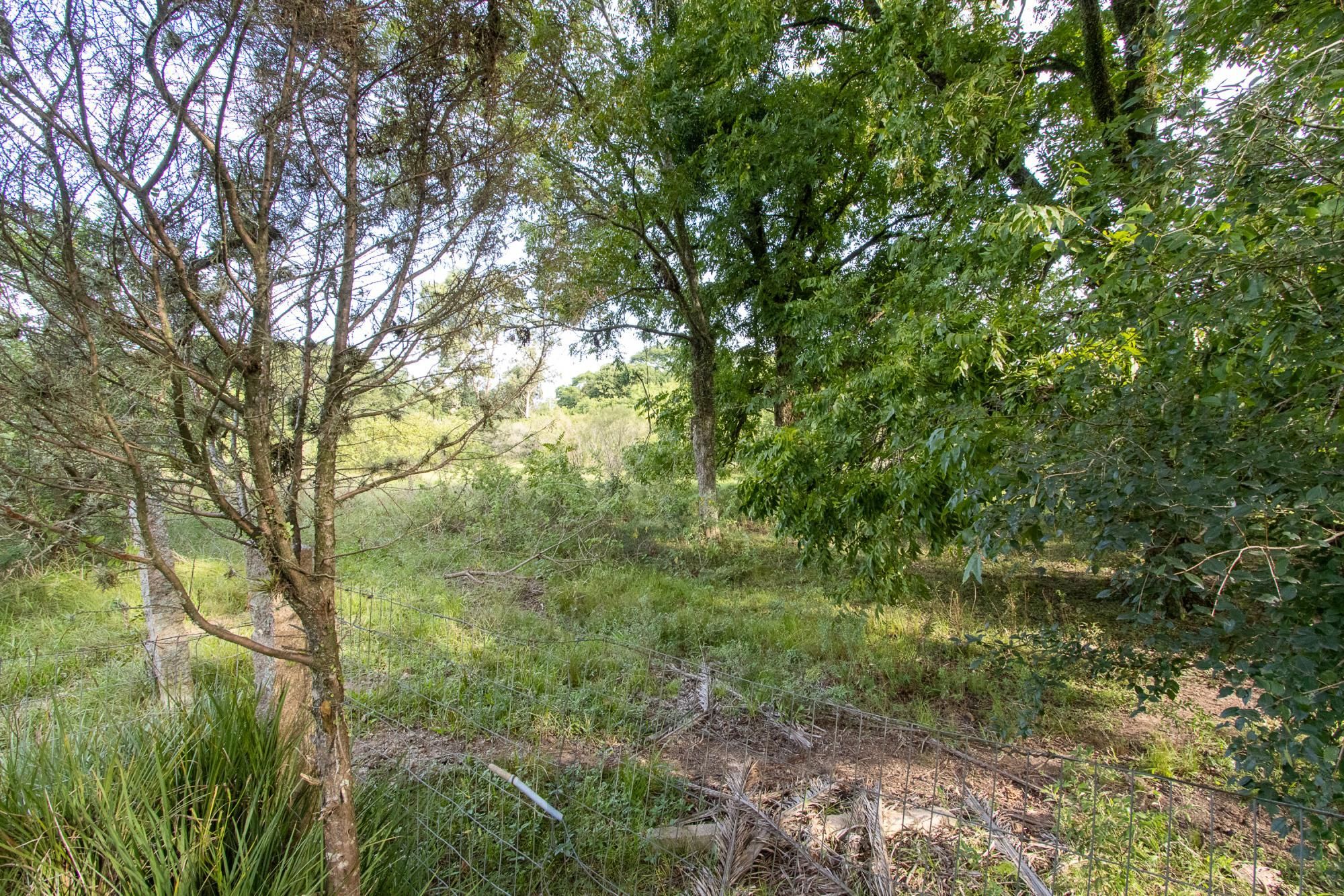 Área medindo 33.426m²! — foto 41