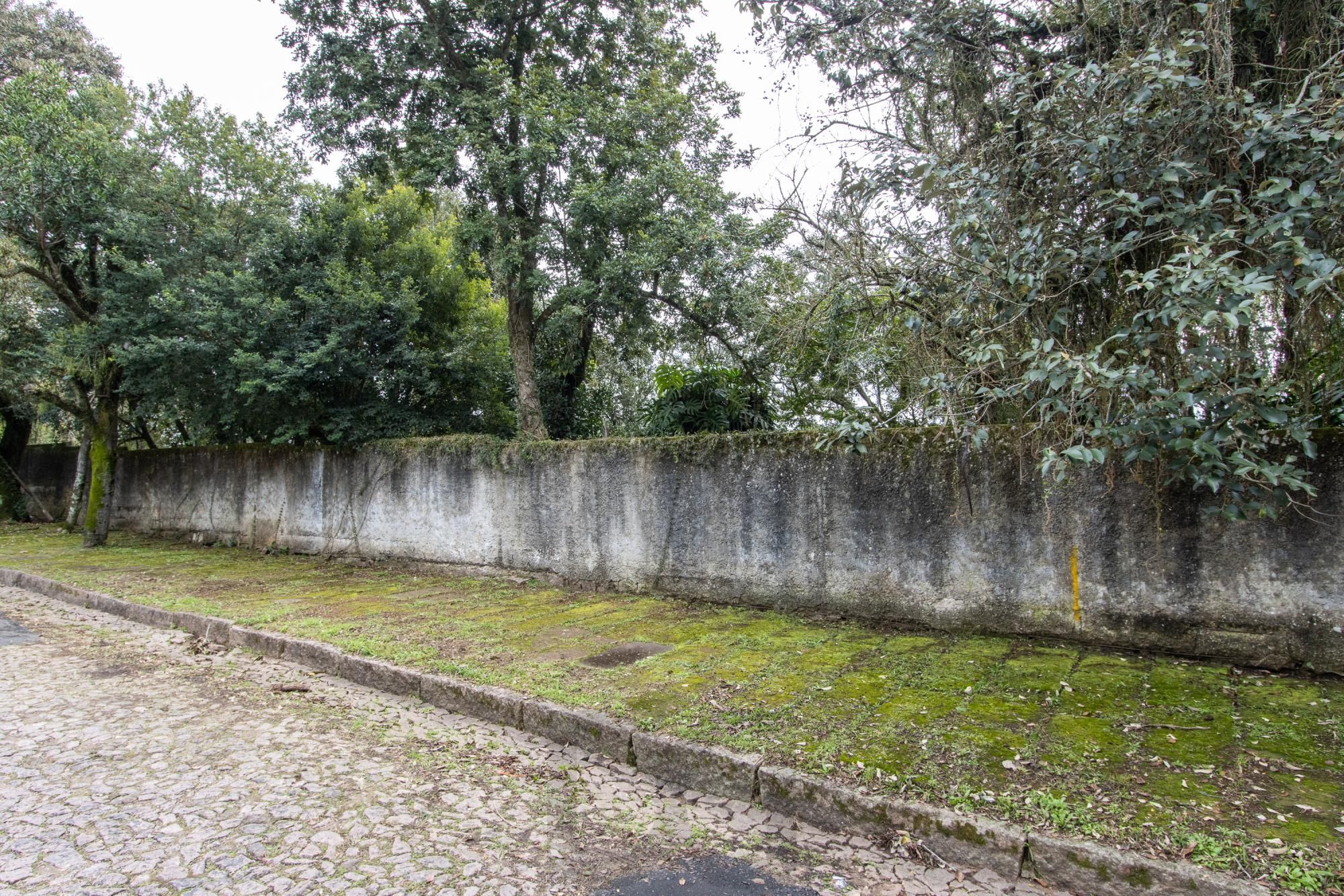 — foto 2