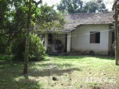 Sítio para Venda com 5000m² e 3 dormitórios no bairro Lami — foto 1